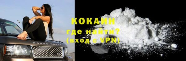 крисы Баксан